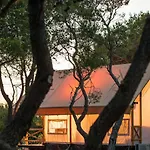 Paradiso 3*