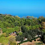 Paradiso 3*