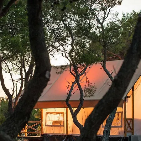 Paradiso 3*