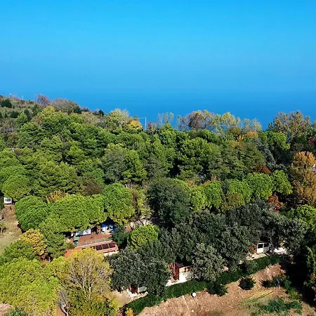 Paradiso 3*