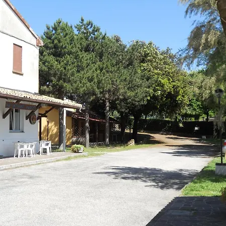 Paradiso Kamp alanı 3*