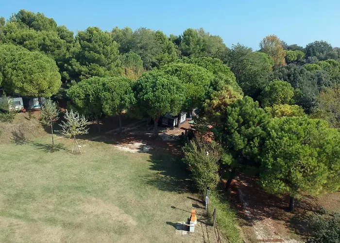 Κάμπινγκ Paradiso Πέζαρο